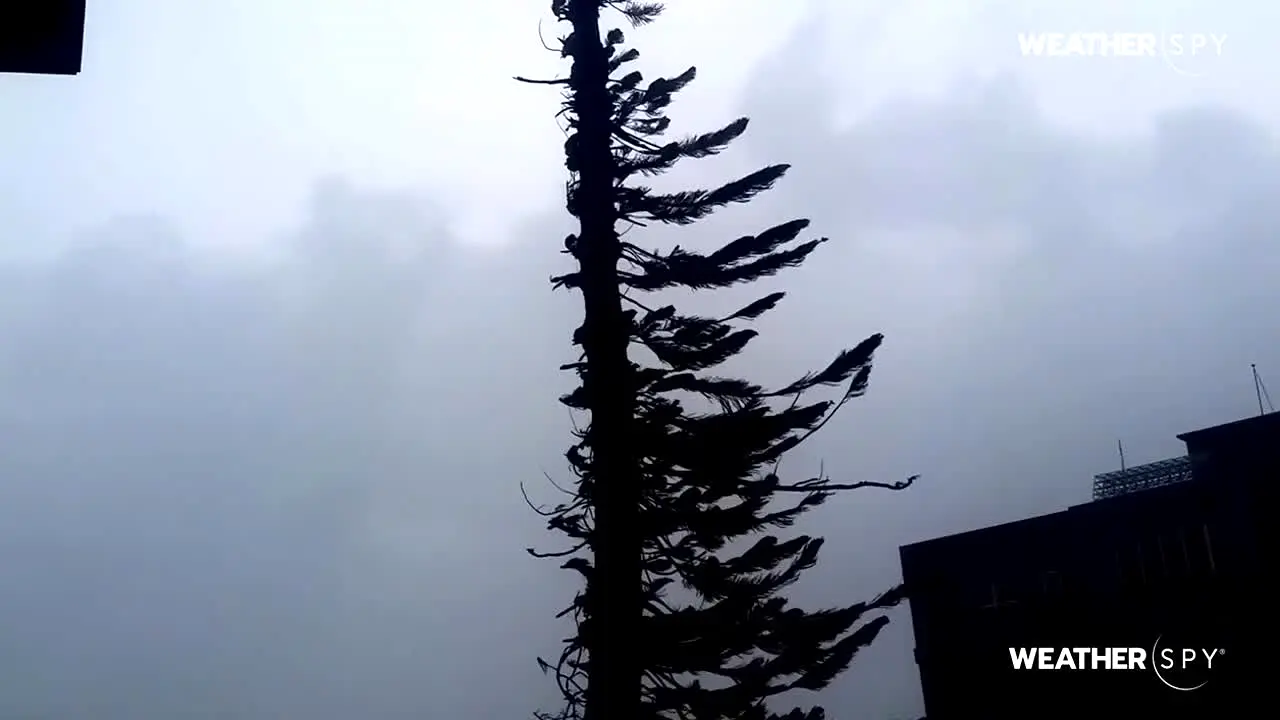 Weather Spy live
