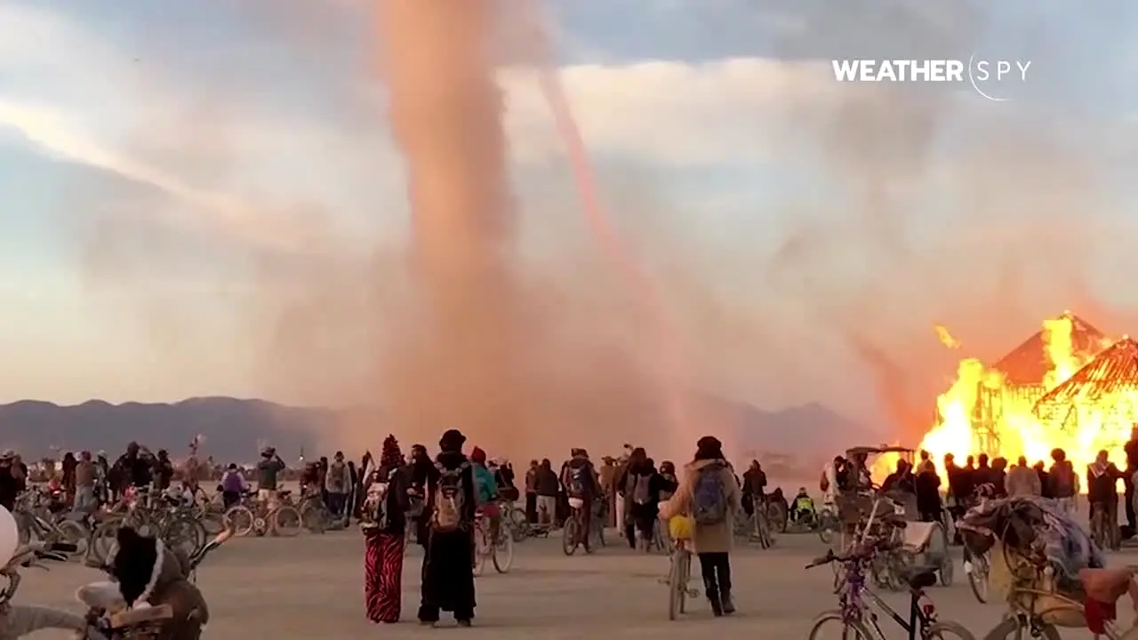 Weather Spy live