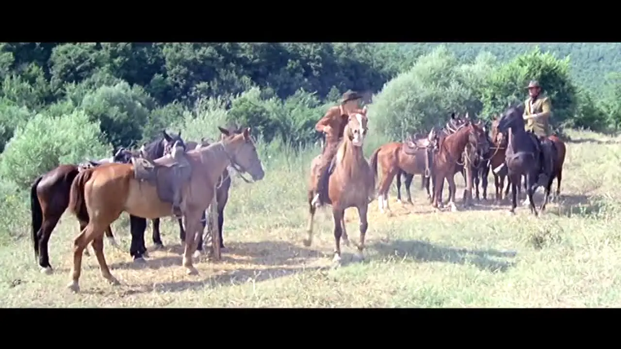 Grjngo - Film Western live