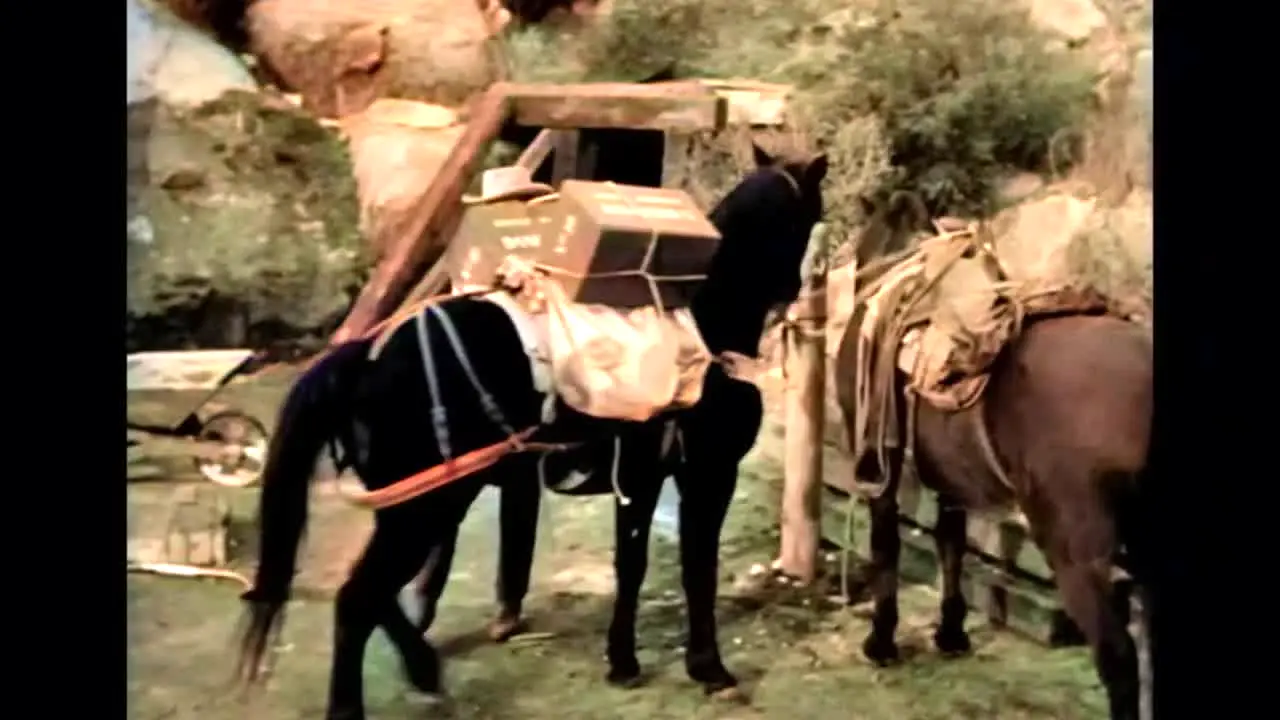 Grjngo - Film Western live