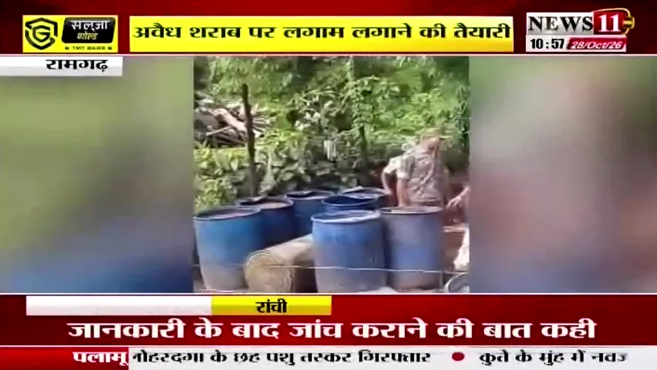 News 11 live