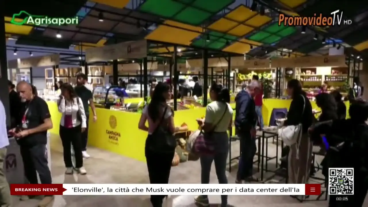 Promovideo TV live