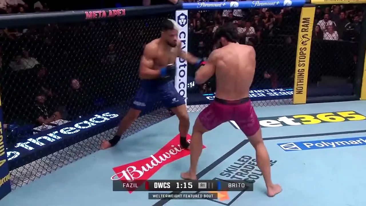 UFC live