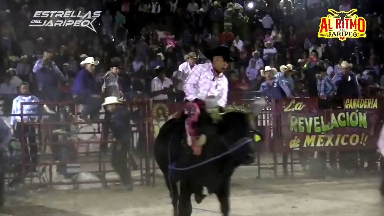 Al Ritmo del Jaripeo live