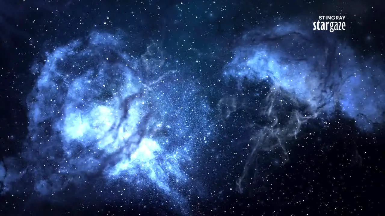 Stingray Stargaze ao vivo