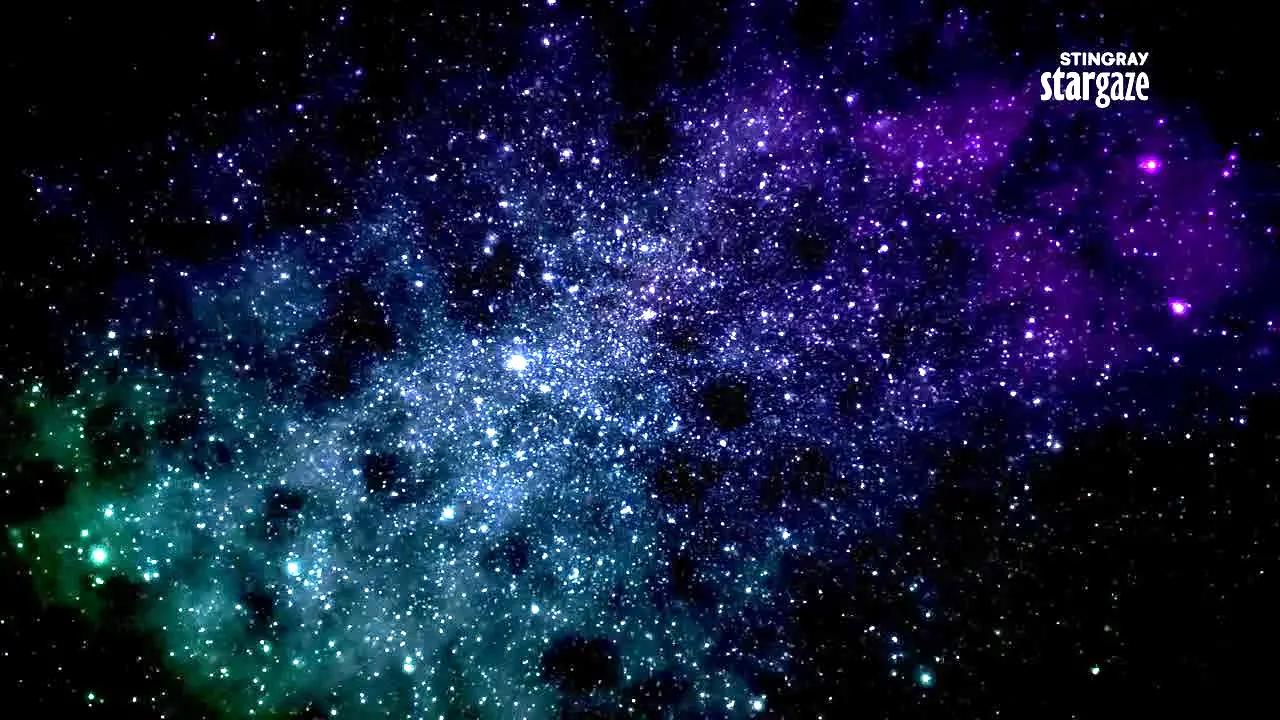 Stingray Stargaze en direct