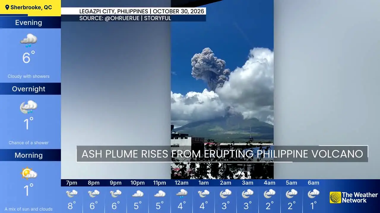 The Weather Network en vivo