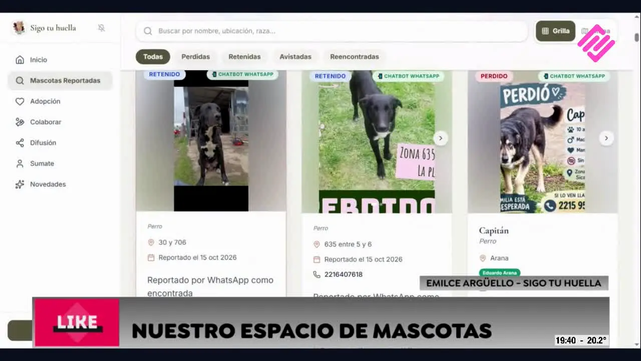 Sicardi TV in diretta