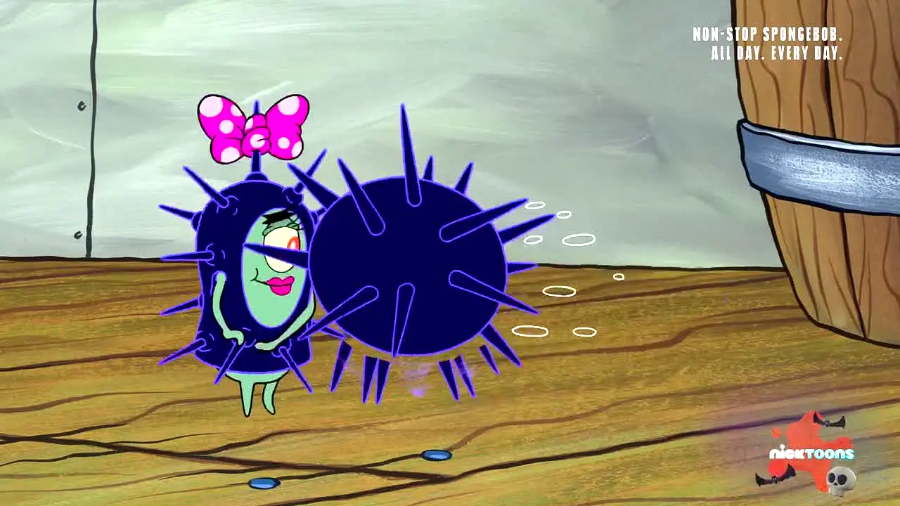 Nicktoons live