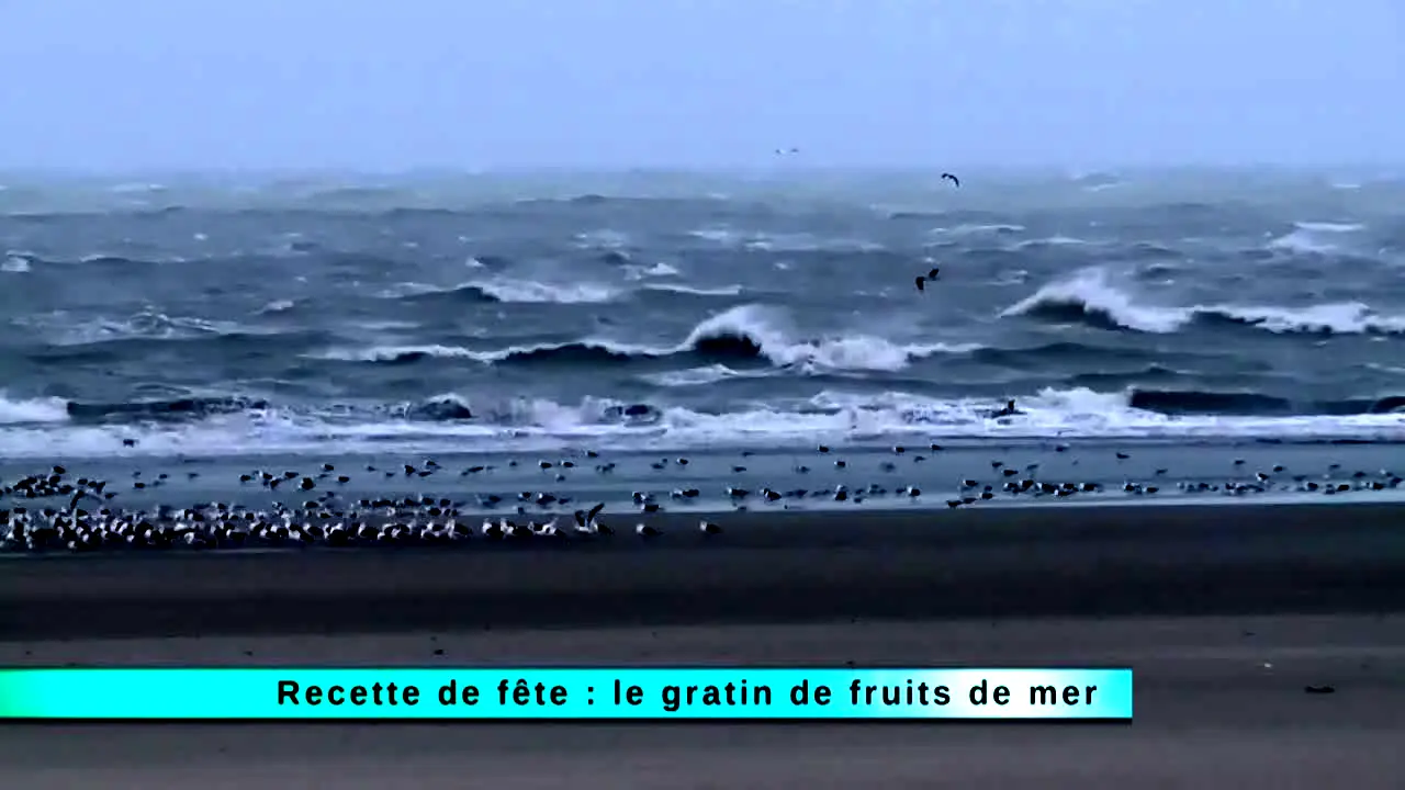 Les Secrets de Nos Régions live