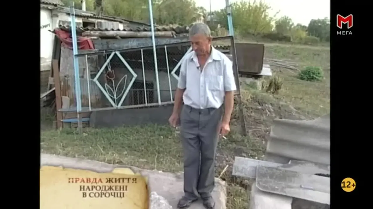 Mega na żywo