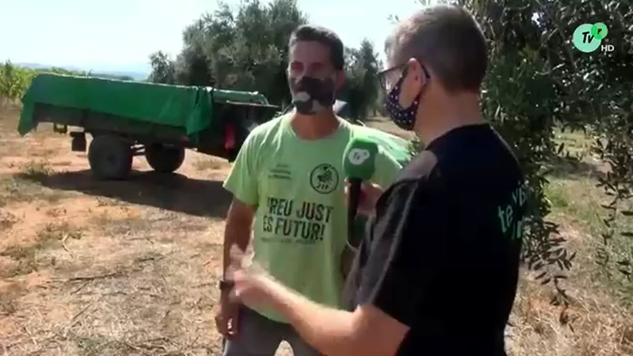 Piera TV live