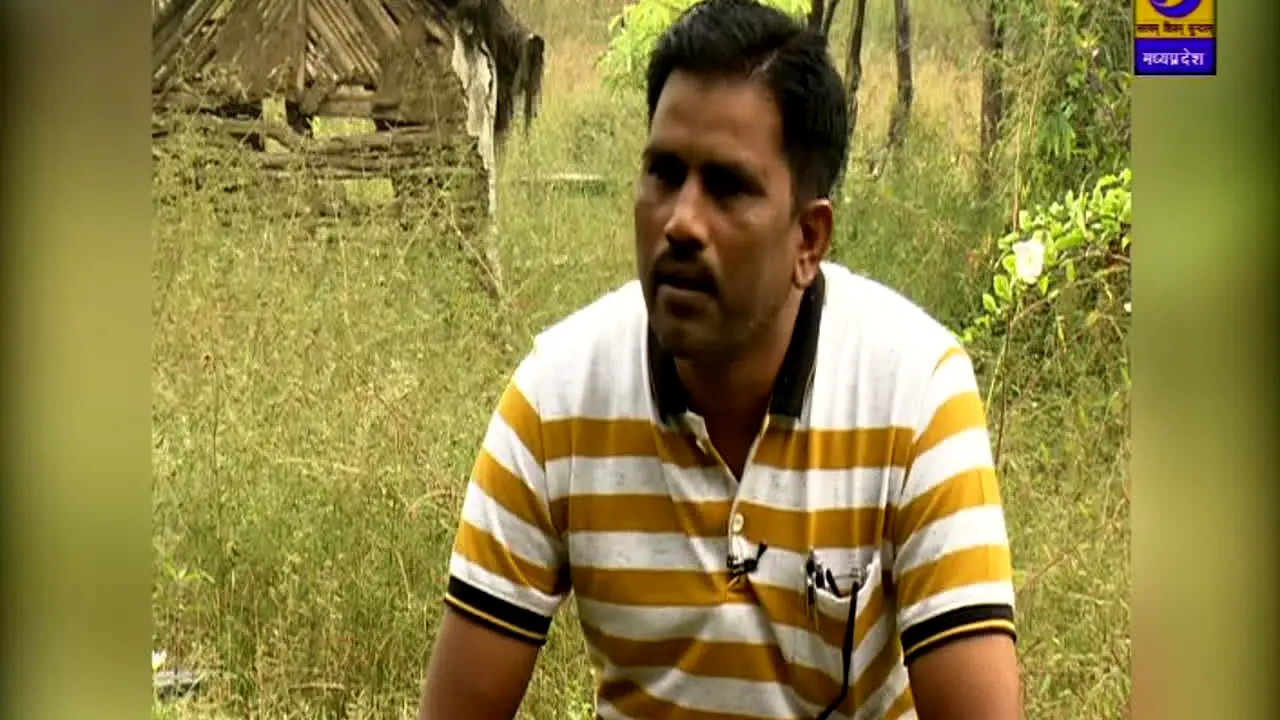 DD Madhya Pradesh ao vivo