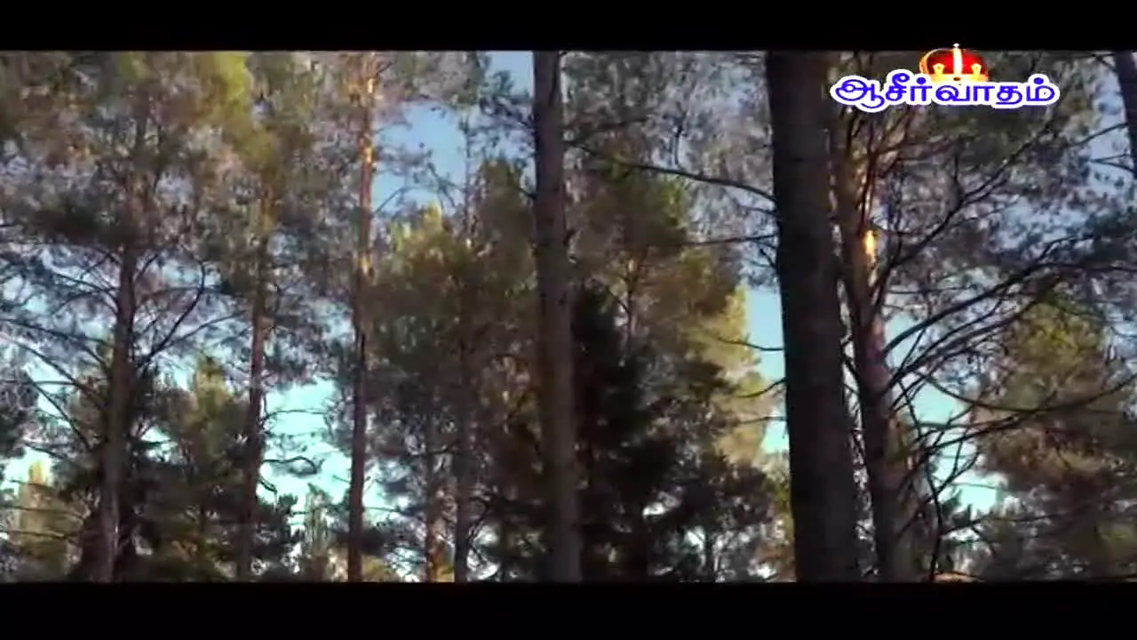 Aaseervatham TV live