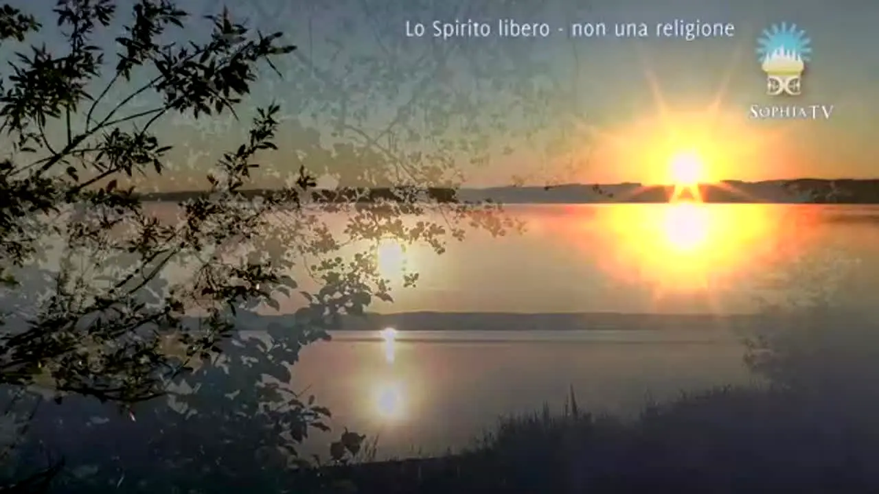 Sophia TV live