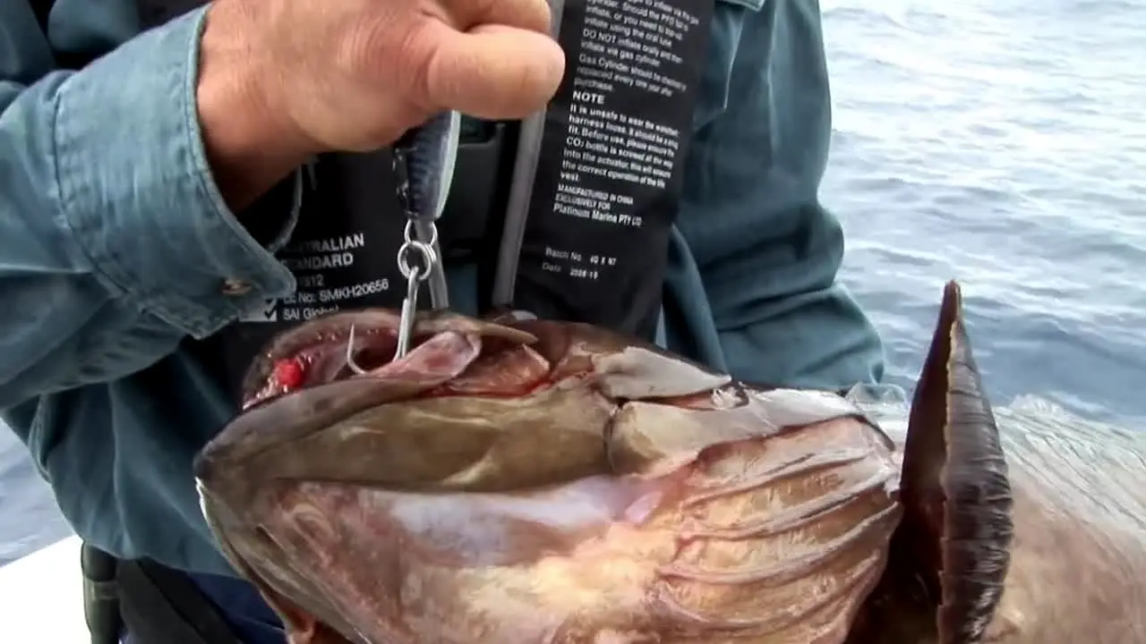 Gone Fishing in diretta