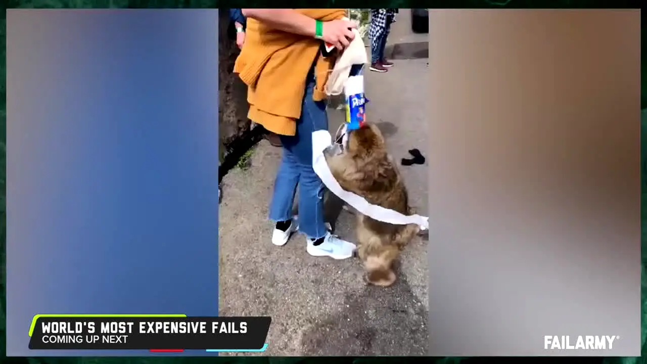 FailArmy live