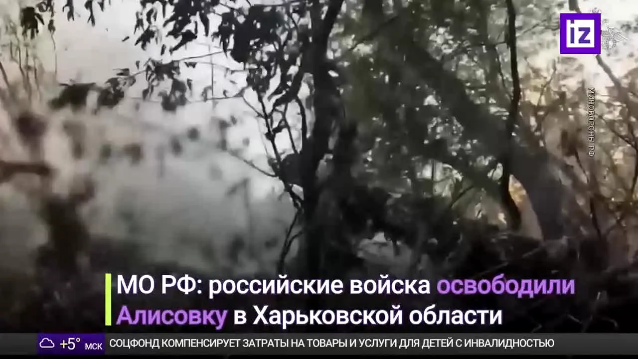 Izvestia live