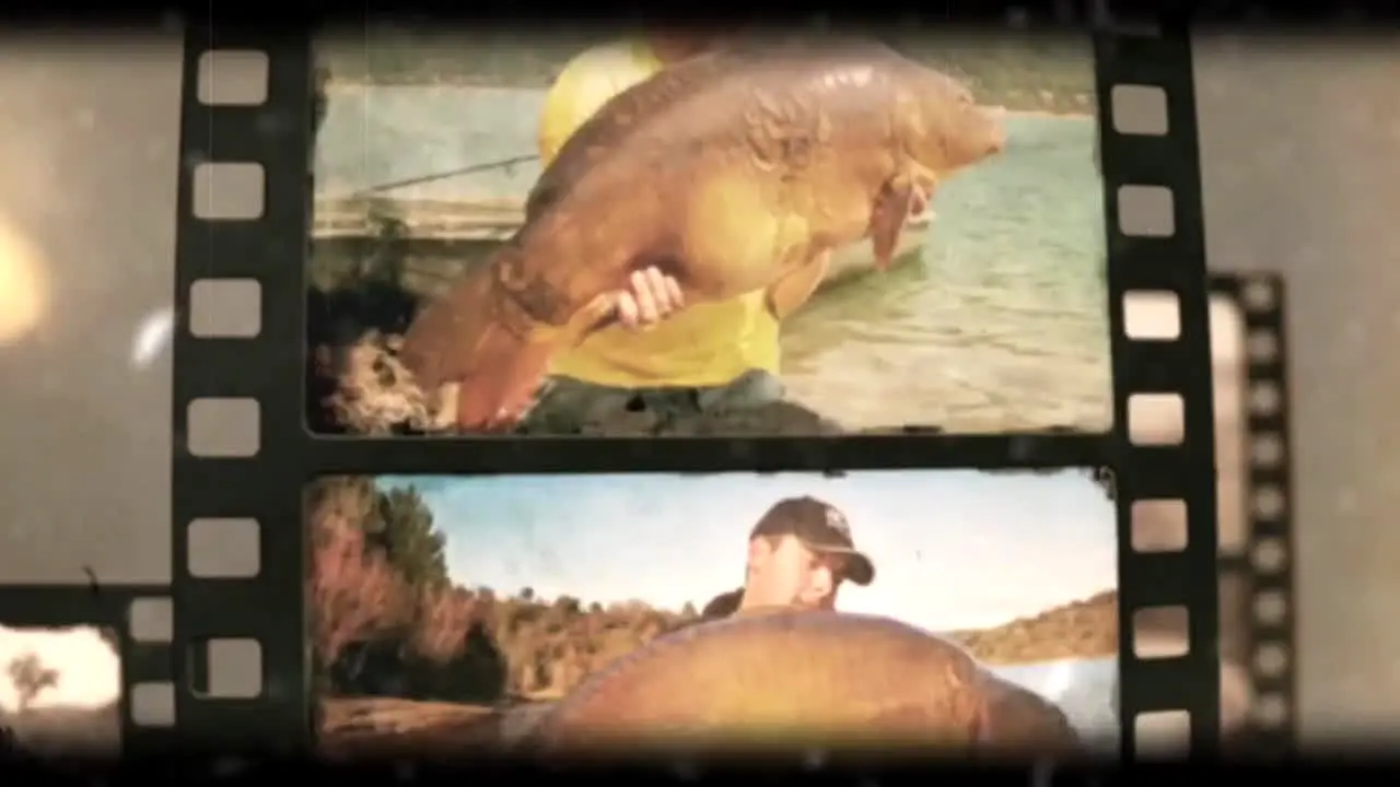 Gone Fishing live