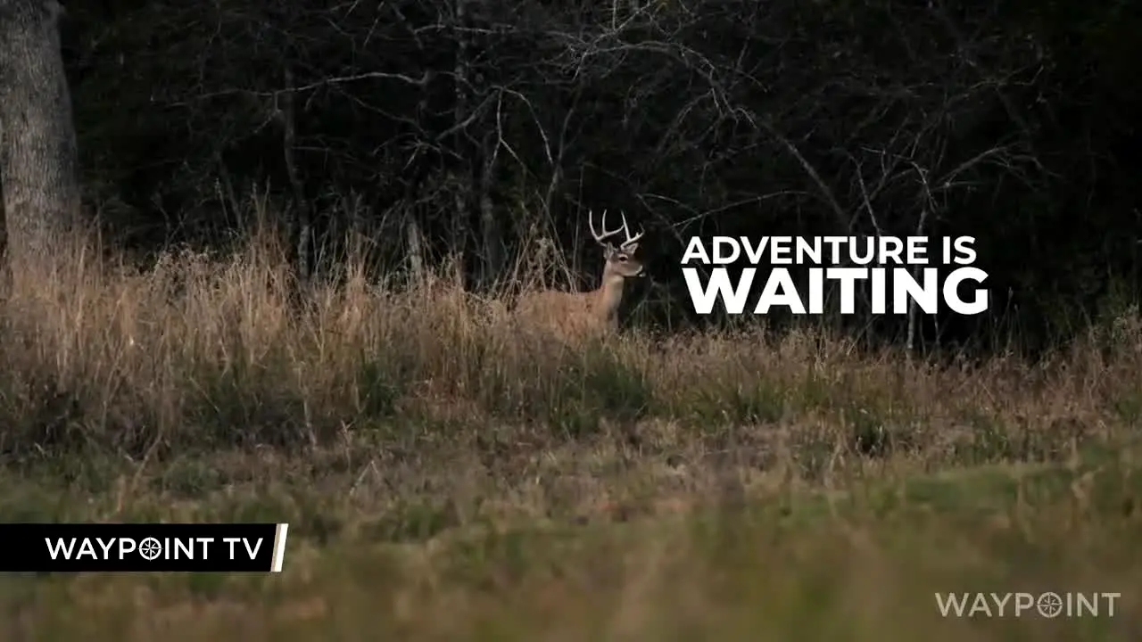 Waypoint TV in diretta