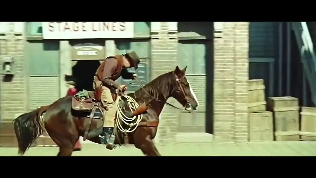 Bronco live