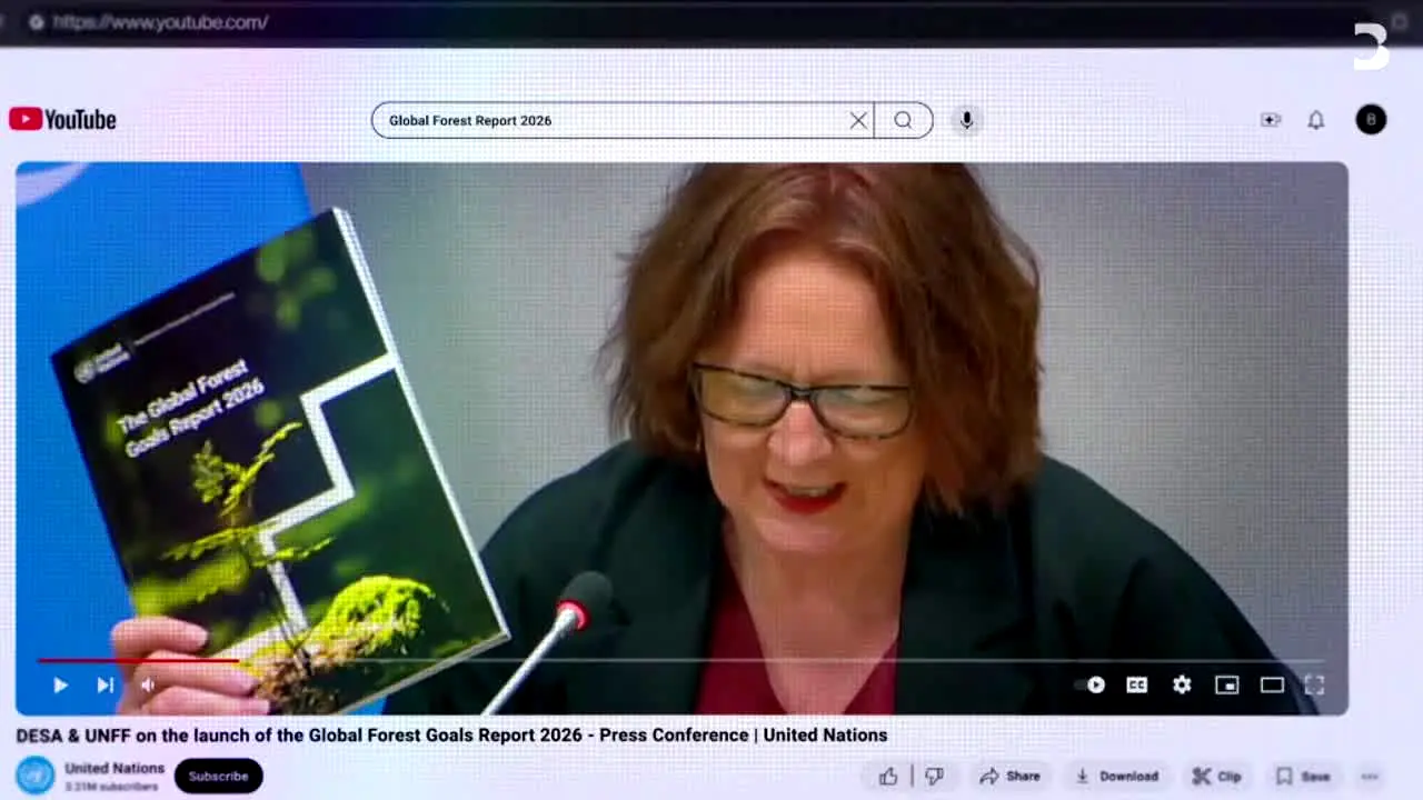 Bloomberg Originals live
