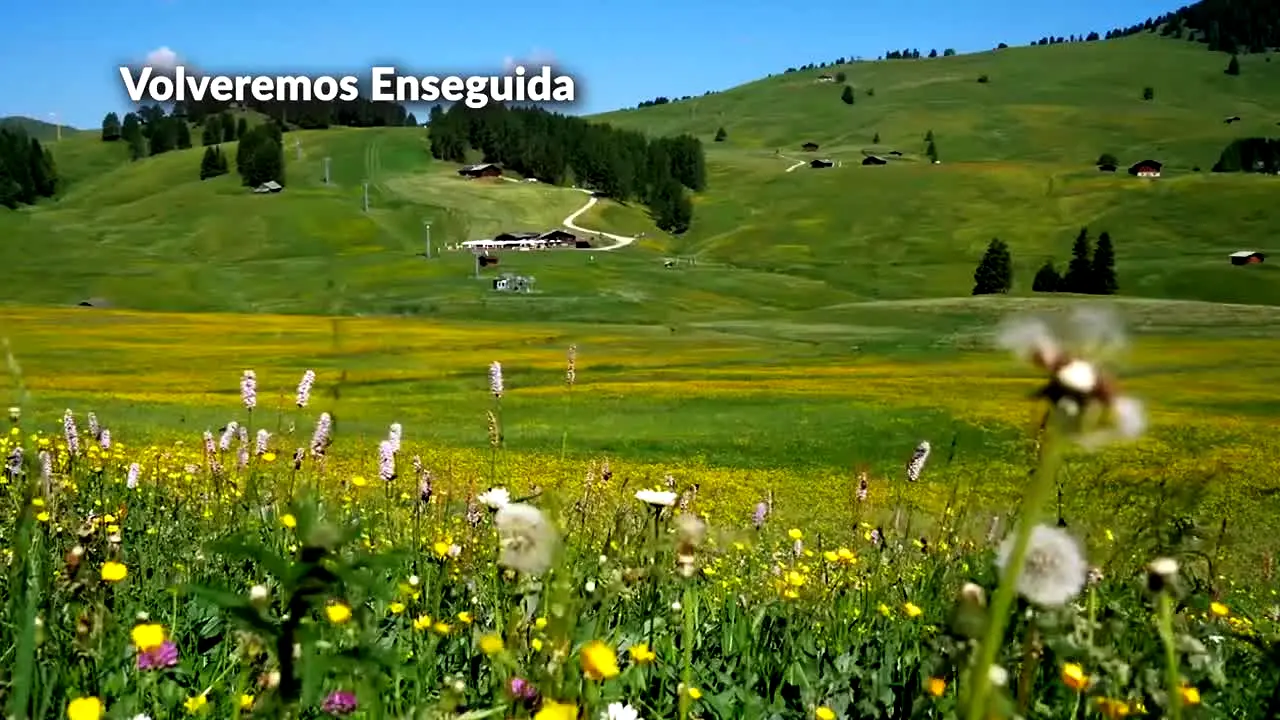 Naturaleza live