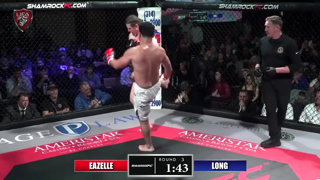 United Fight Alliance live