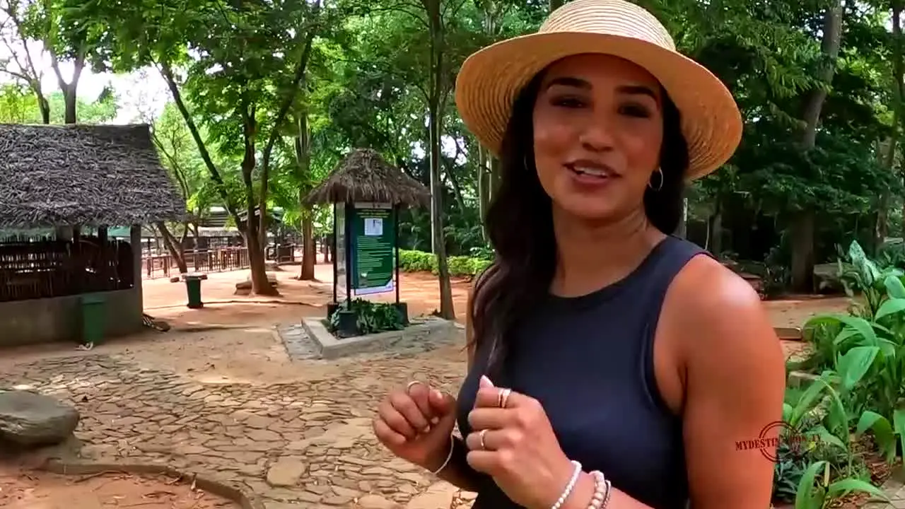 MyDestination.TV na żywo