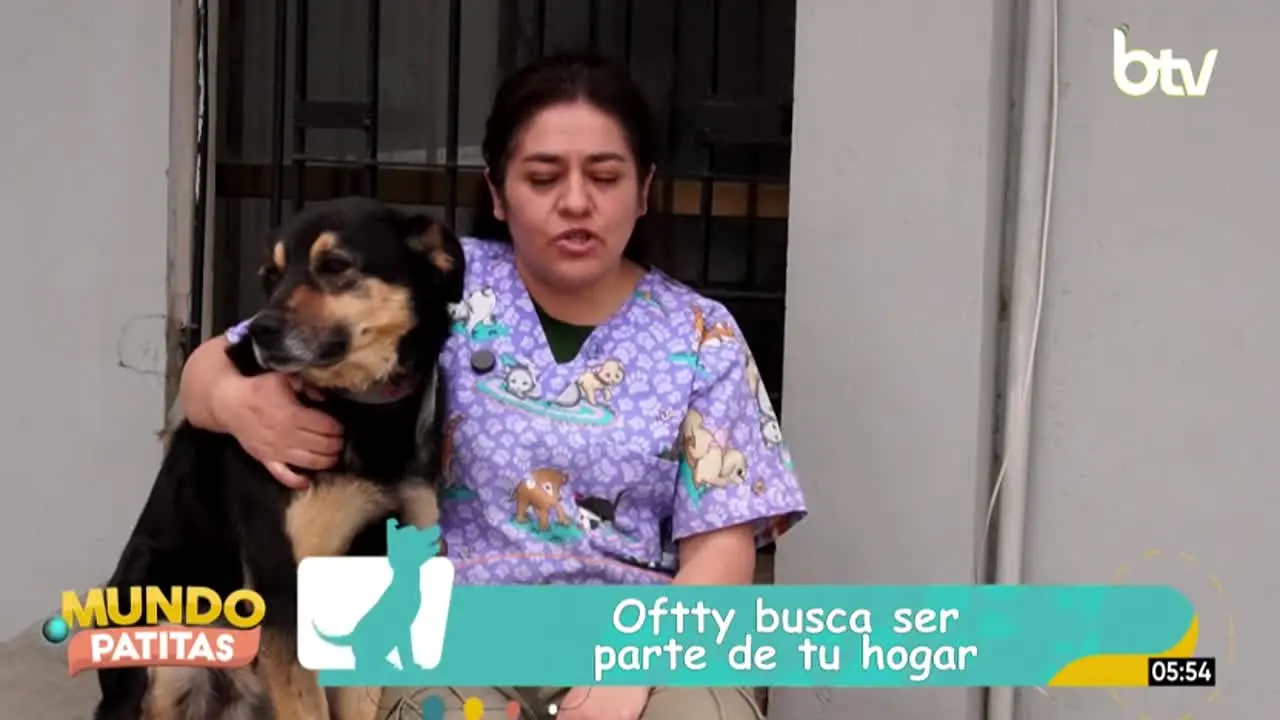 Bolivia TV en vivo