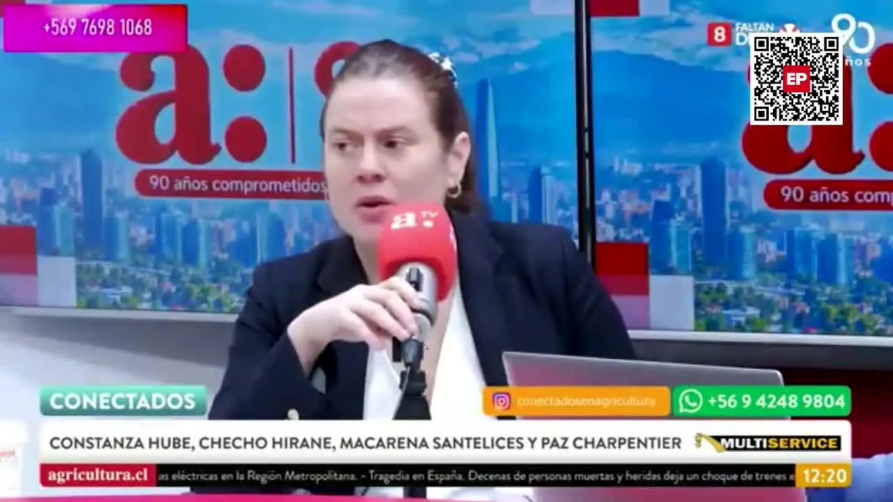 El Pinguino TV live