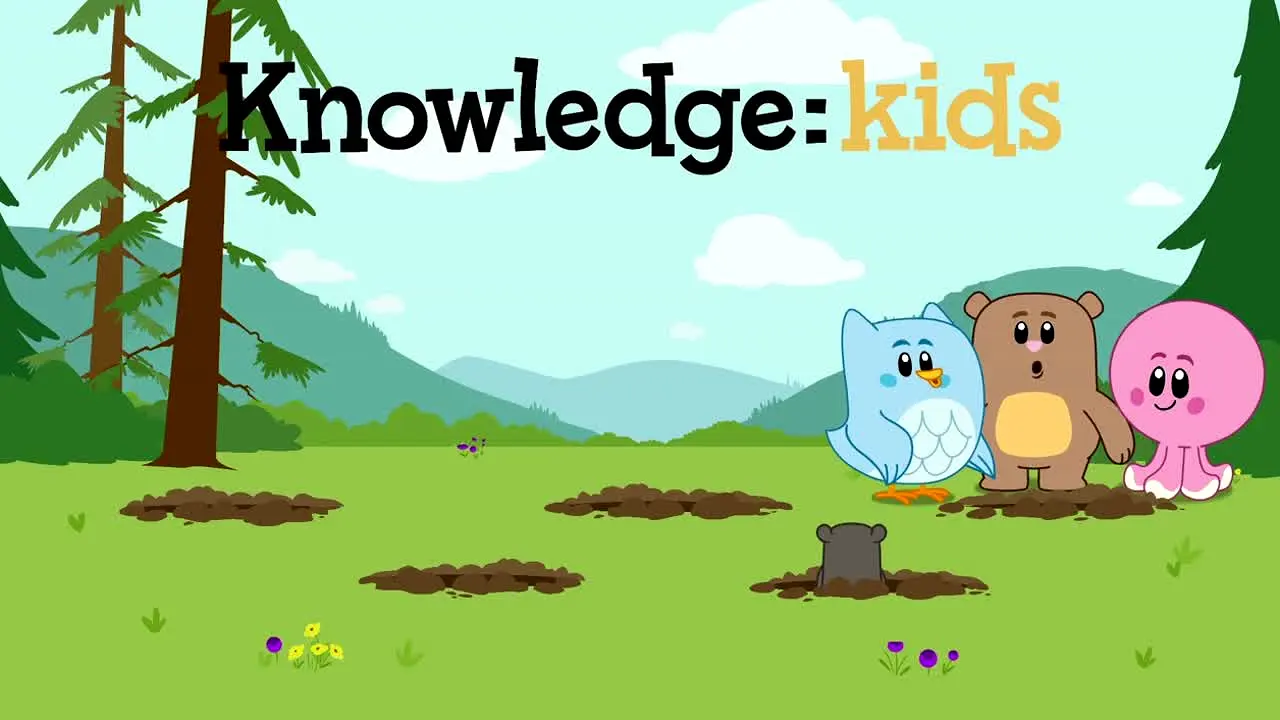 Knowledge Network live