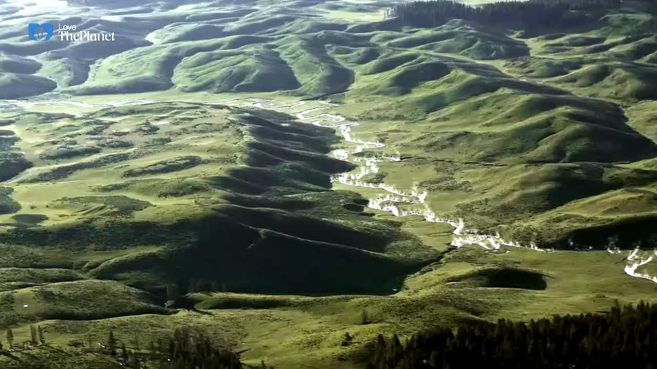 Love The Planet na żywo