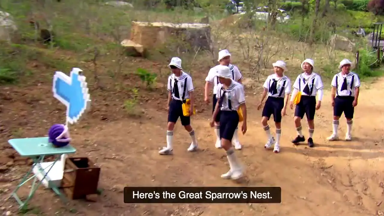 We Play na żywo