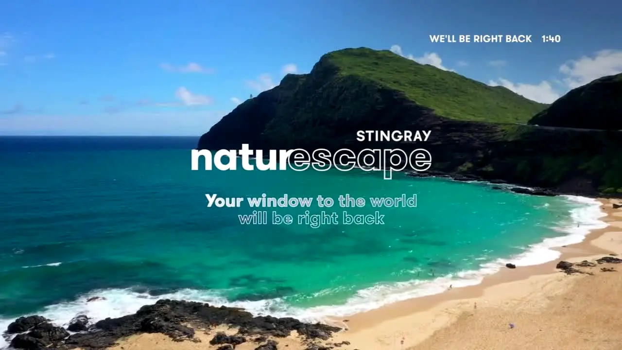 Stingray Naturescape live