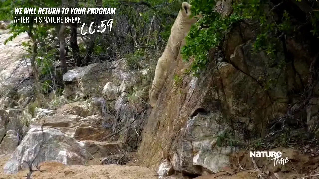 NatureTime live