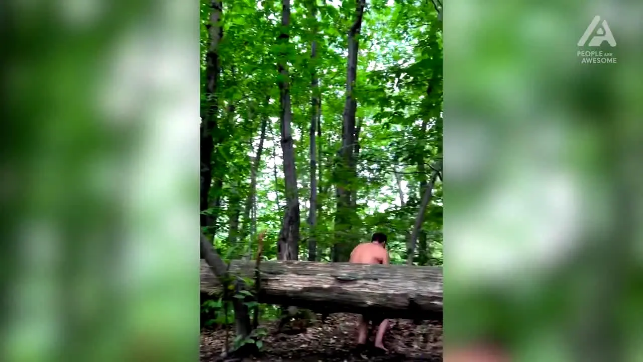 People Are Awesome live