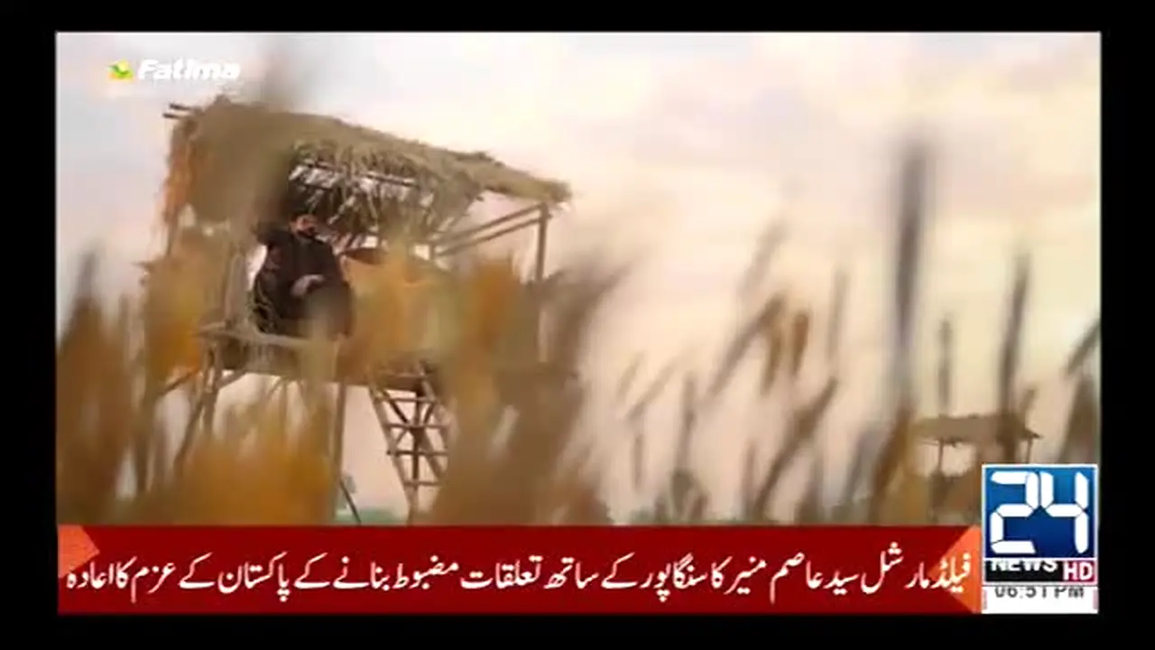 24 News live
