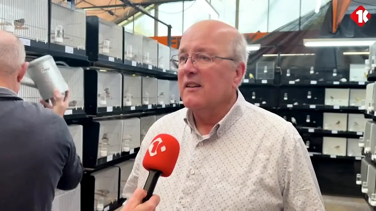 KempenTV en direct