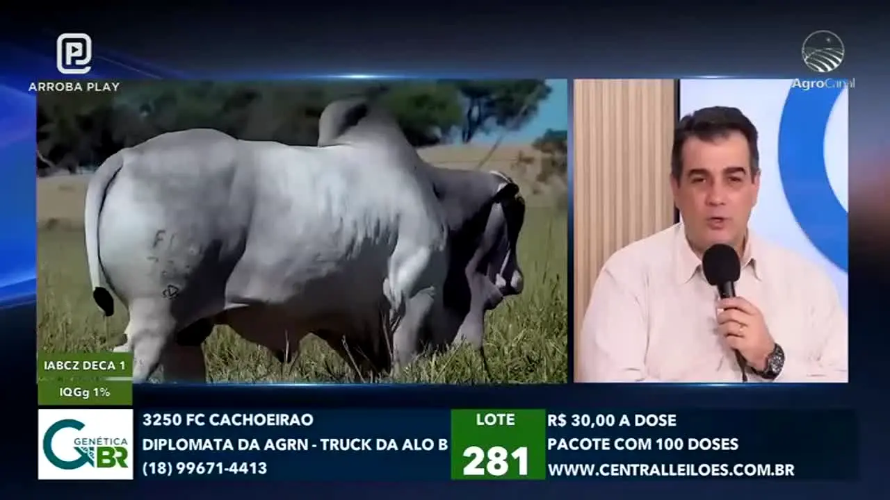 AgroCanal — прямой эфир
