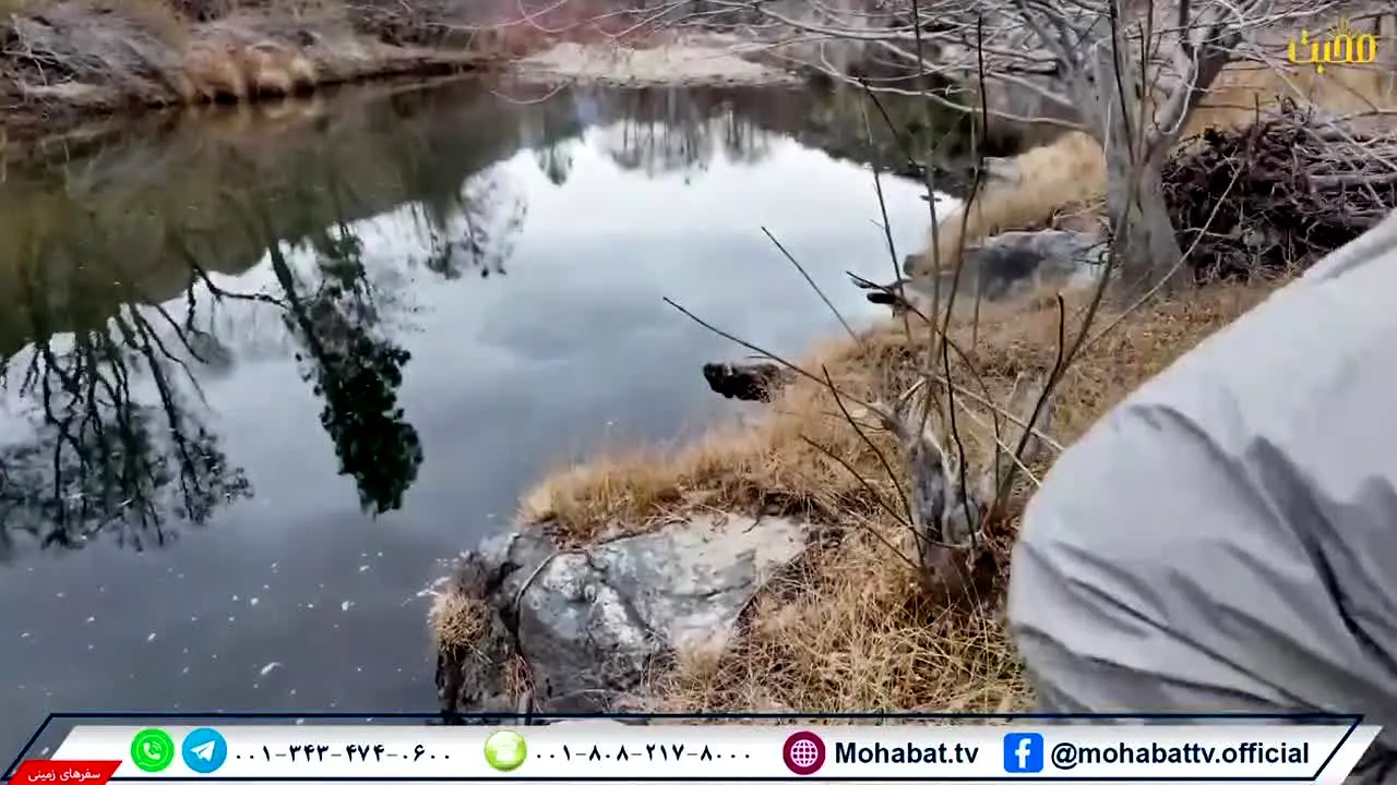 Mohabat TV live