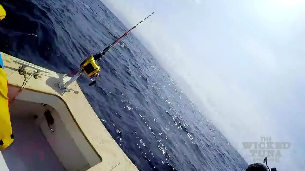 The Wicked Tuna Channel live