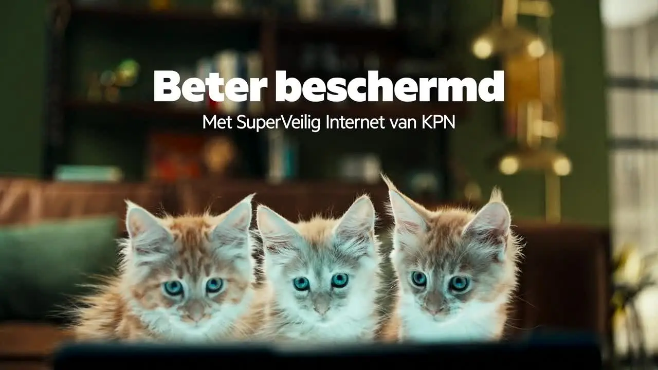 RTV Oost live