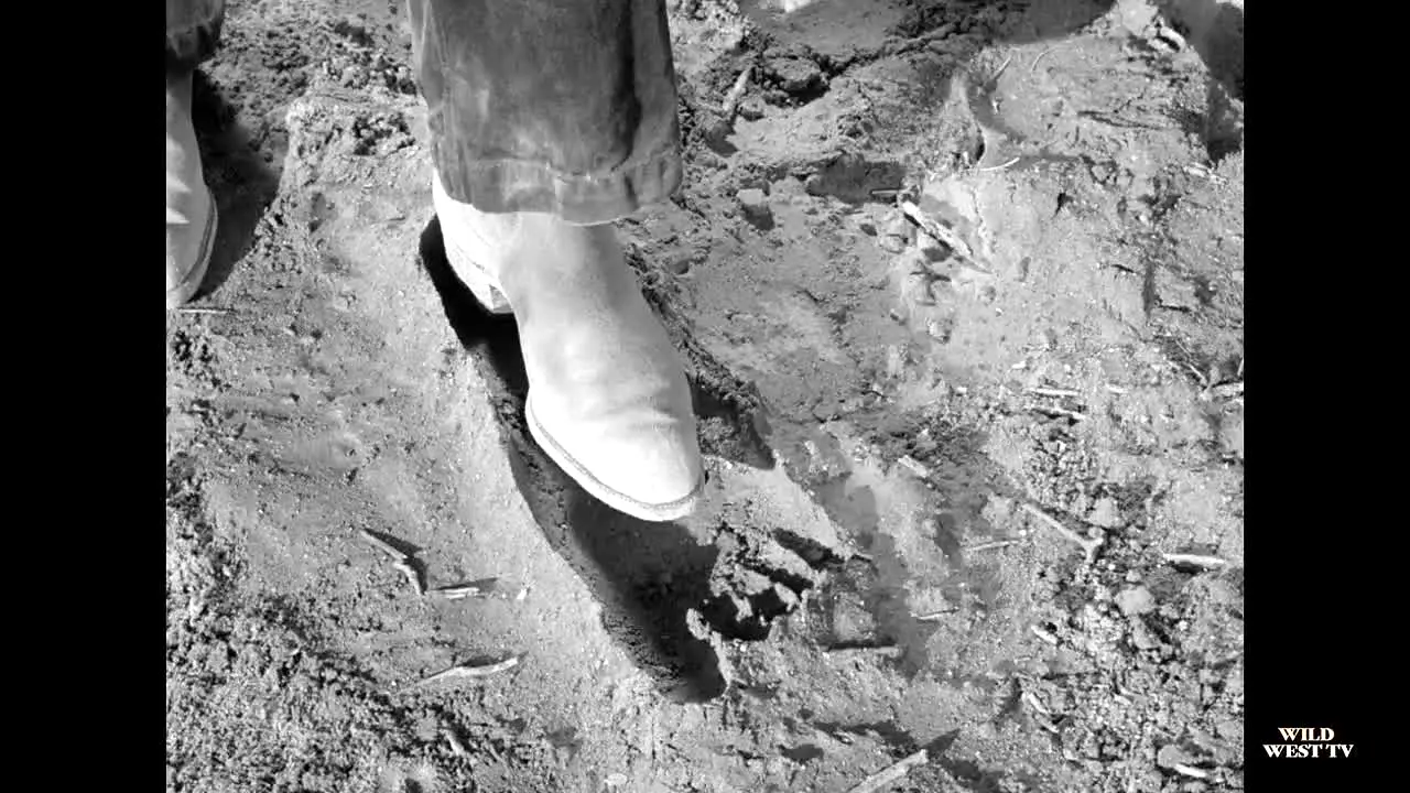 Wild West TV live