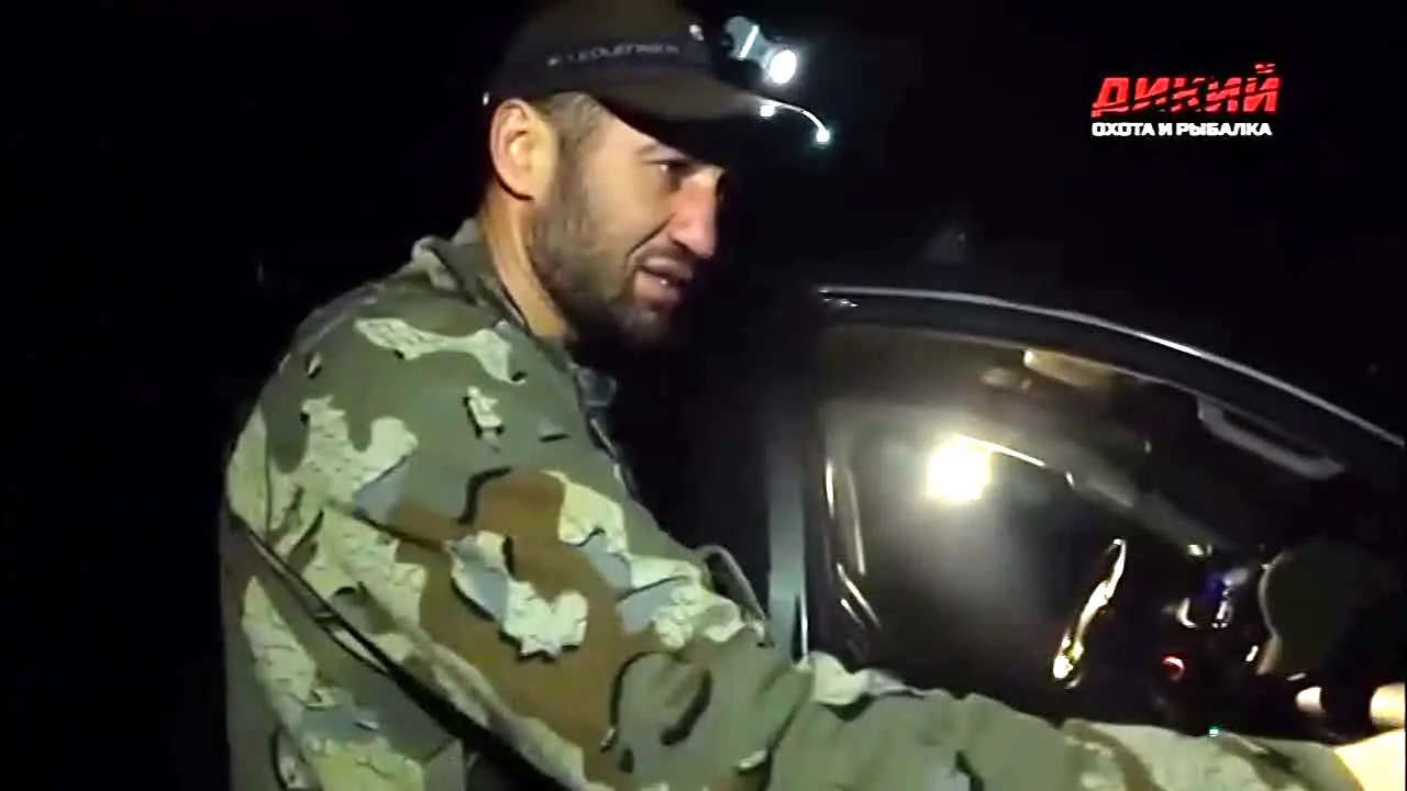 Dikij in diretta