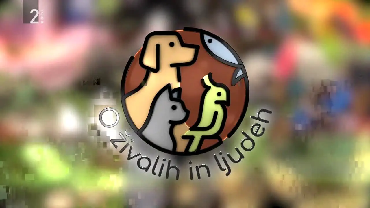 TV SLO 2 na żywo