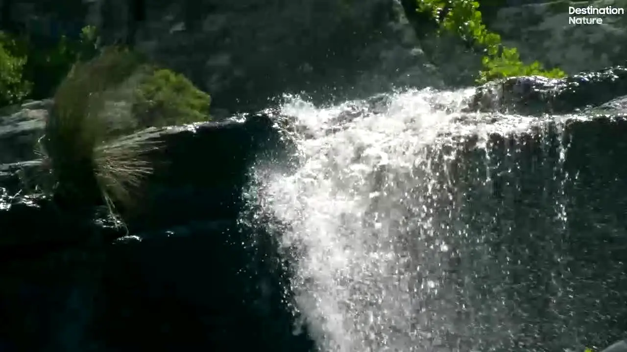 Destination Nature live